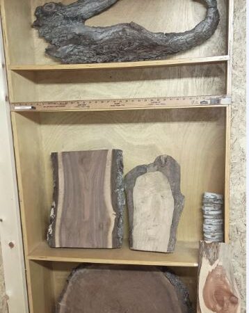 Deer Mounts, Plaques & Taxidermy Mounts