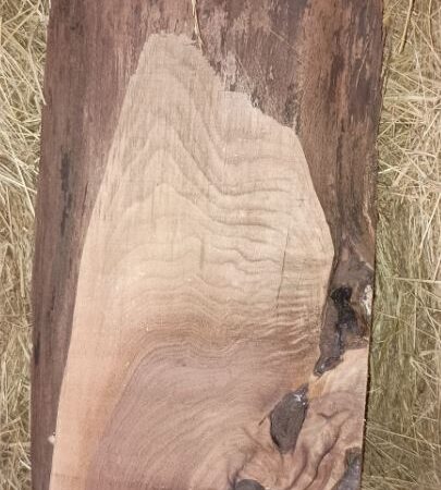 Walnut Plaque cutting board size